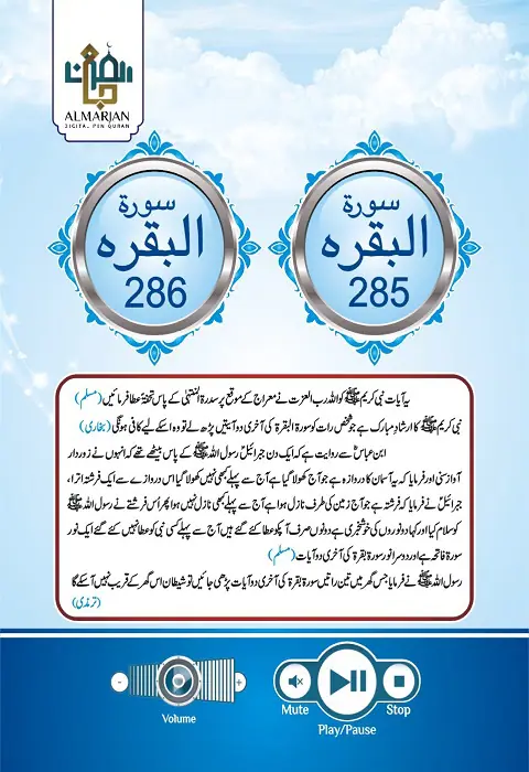 AL Marjan Digital Pen Quran Sharif (AT-108) - Image 11